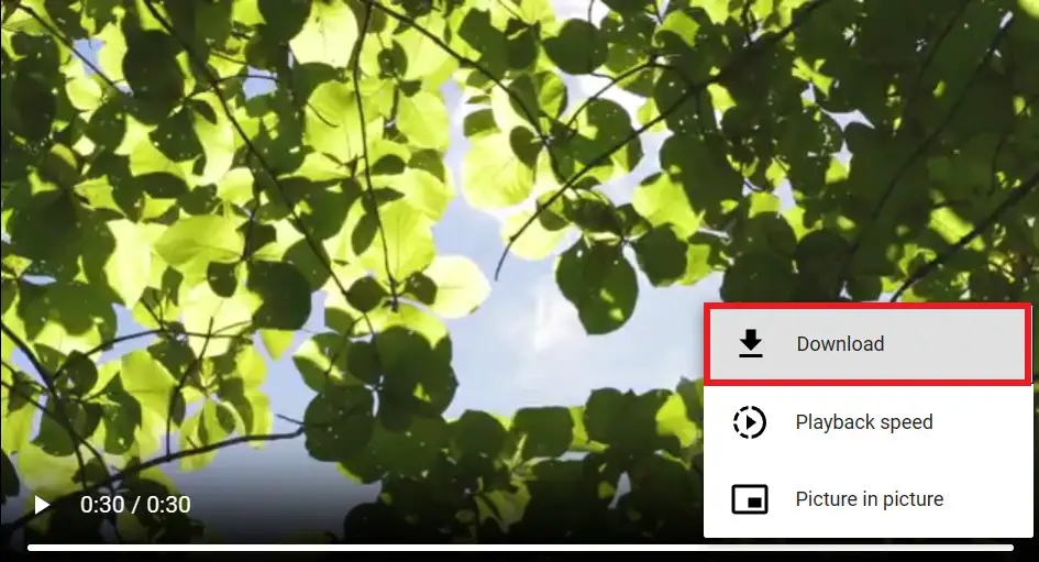 Download YouTube Videos on Windows
