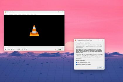 Disable Privacy and Network Access Policy on VLC Media Player